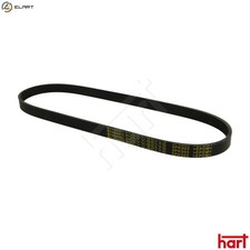 VRIBBED BELT 368 897 FOR