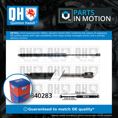 Boot gas struts - (pair, set)